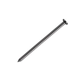 Prego Com Cabeça Polido ( Preço Por Quilo) - Benorte