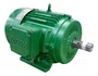 MOTOR TRIF.  3,0 CV 4P BL